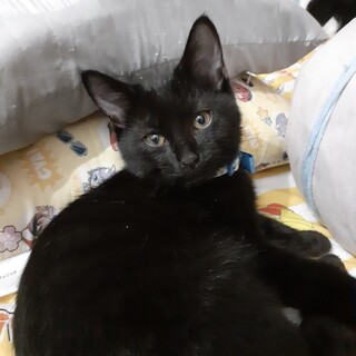 ステキなご縁に結ばれました♡