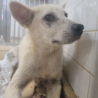 急募！！期限が明日まで！！