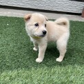 【募集】ウラン♀の幸せを探しています！
