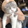 がっちゃん