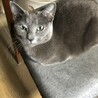 脱走大好き ホープ君