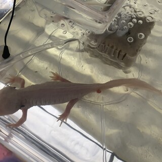 ありがとうございました！