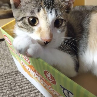 元気いっぱいのおてんば娘の桃ちゃん♪