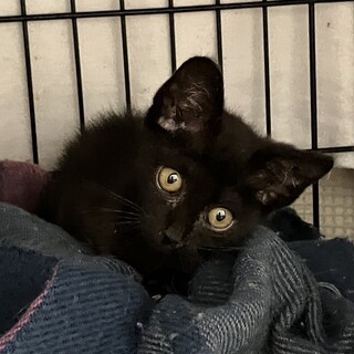 9月期限Help！幸せ待ち。可愛いお顔❤️みずこ