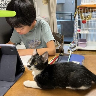 【7/30芝浦】お子さんの親友になれる仲良し兄妹