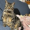 の写真