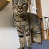 の写真