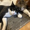 の写真