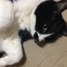 のふく