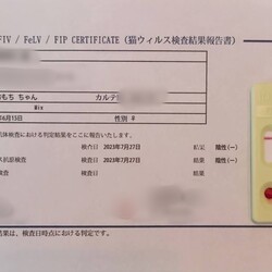 「生後33日になったよぉ～すくすく成長してます♡」サムネイル3