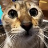 おタケさん
