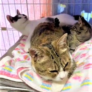 おっとりアヤメちゃん❣❣