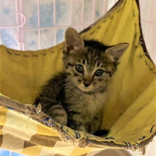 元気なえだまめくん❣