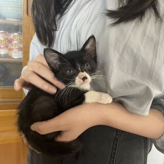 小さい体で一生懸命★チェリー