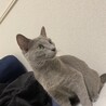 Ko__Mi93