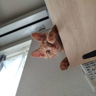 明るい性格　カイジ　3ヶ月