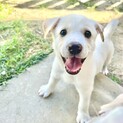 やんちゃな、たらこくん