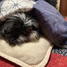 16歳まで頑張りました、