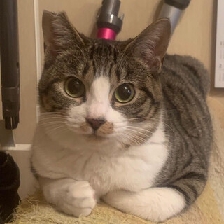 甘えん坊他の子とも仲良し夜ちゃん！