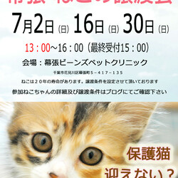 千葉市「 幕張 ねこの譲渡会」動物病院で開催です