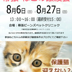 千葉市「 幕張 ねこの譲渡会」動物病院で開催です
