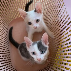 Instagramを始めました！