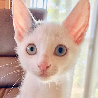 生後３ヶ月　好奇心旺盛な男の子〈マメちゃん（仮）〉