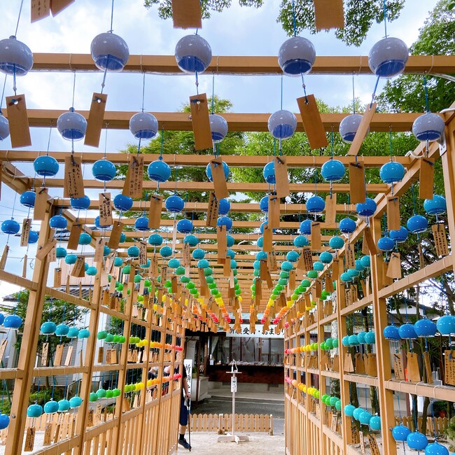 a0yのカバー写真