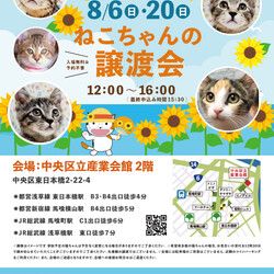 ねこざんまい譲渡会@東日本橋