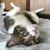 きゅるり
