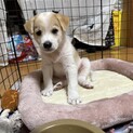子供も大丈夫✨可愛い男の子