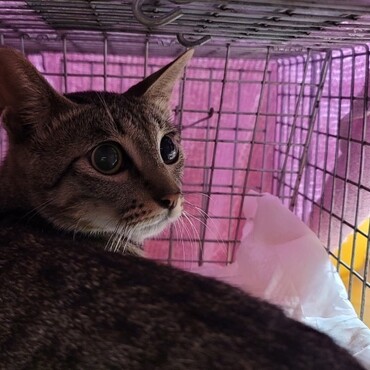 お外で出産してたママ！