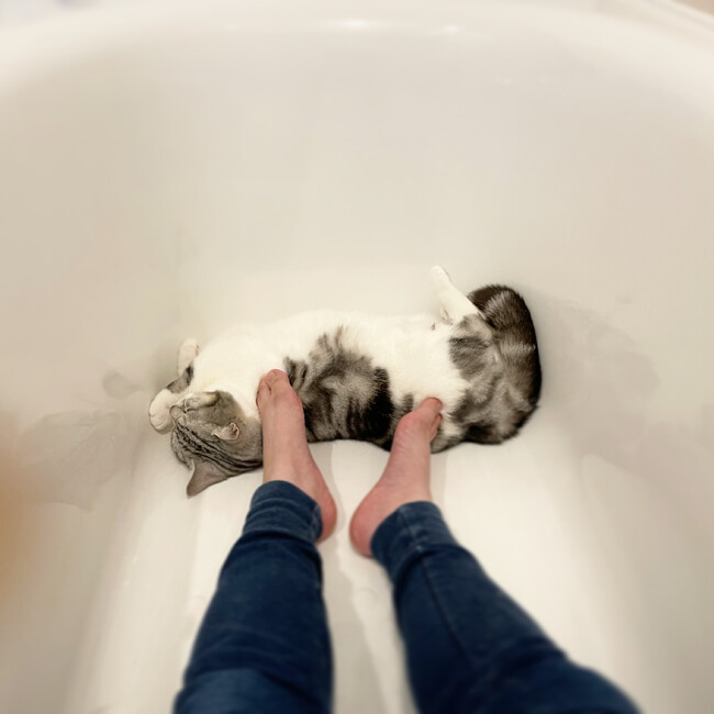 なみーんのカバー写真