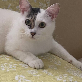 ちょっとビビリで繊細な男の子