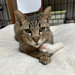 スリスリと甘える富松三郎君