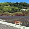 7ヶ月(^^)