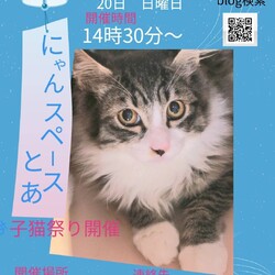 にゃんスペースとあ　ねこのお見合い会