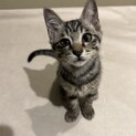 おっとりちーちゃん