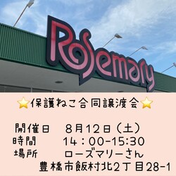 保護ねこ合同譲渡会