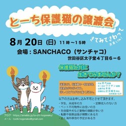 とーち保護猫の譲渡会@三軒茶屋