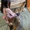 好きになったら一途！ｶﾗ  サムネイル6