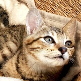 【面会待ち】くっきり模様の甘え上手ルージュ