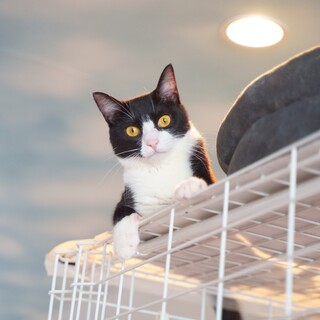 やんちゃが可愛い♡小輔(こすけ)