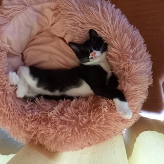 幸せになってね！