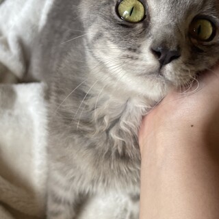 もうすぐ1歳のイケメンすぎる男の子！