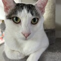 交通事故から復活⭐︎光ちゃん