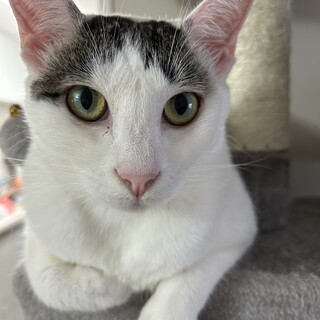 交通事故から復活⭐︎光ちゃん