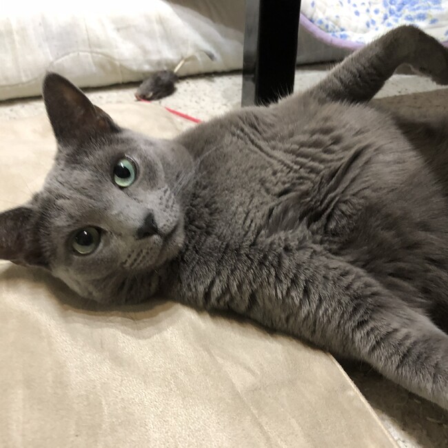 トモトモ8のカバー写真