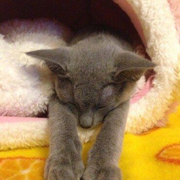 の写真