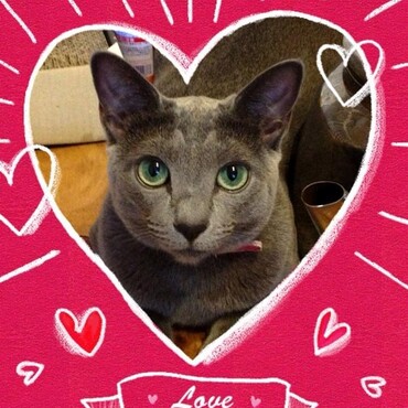 の写真